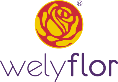 welyflor